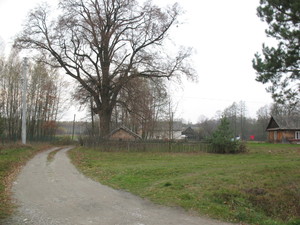 Highlight 17 along the Bikemap route "2013/10  Głogów MŁp. - Turza N.  - Nienadówka "