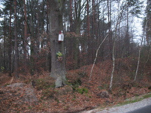 Highlight 45 along the Bikemap route "2013/10  Głogów MŁp. - Turza N.  - Nienadówka "