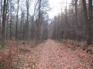 Highlight 35 along the Bikemap route "2013/10  Głogów MŁp. - Turza N.  - Nienadówka "