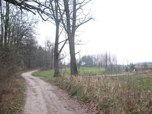 Highlight 37 along the Bikemap route "2013/10  Głogów MŁp. - Turza N.  - Nienadówka "