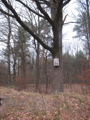Highlight 40 along the Bikemap route "2013/10  Głogów MŁp. - Turza N.  - Nienadówka "