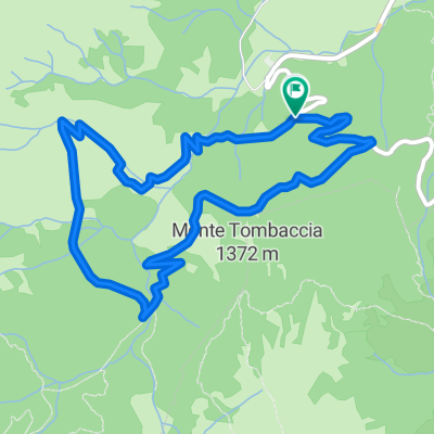 trail gorfi 1