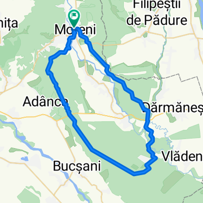 Moreni Rezeravatie Zimbri Bucsani si retur