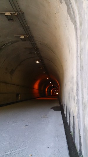 Hebe Bild 2 entlang der Bikemap-Route "埔里武界奧萬大霧社埔里繞圈" hervor