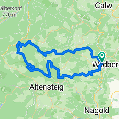 Tour Schwarzwald - Wildberg