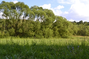Hebe Bild 1 entlang der Bikemap-Route "032 - 2014" hervor