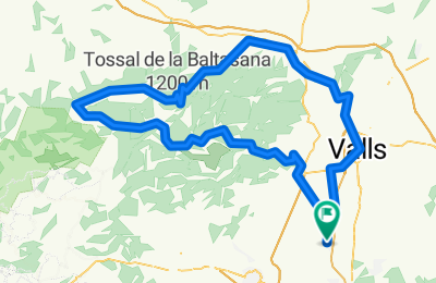 Route in der Bikemap App öffnen