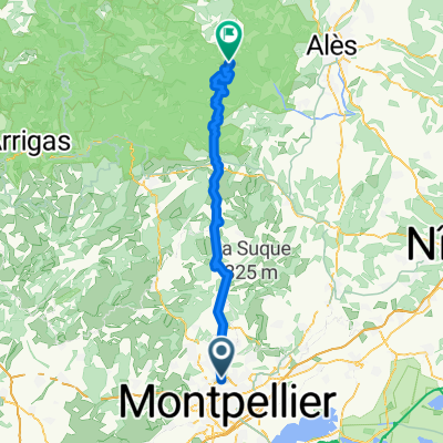 MONTFERRIER LANGOGNE 1