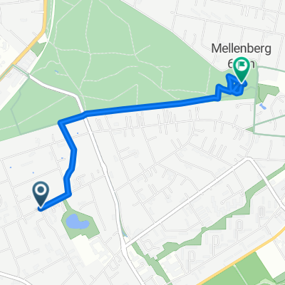 Mellenberg Test