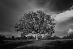 Destacado 4 en la ruta de Bikemap "Ravna"