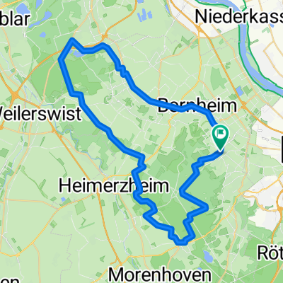 Kottenforst MTB