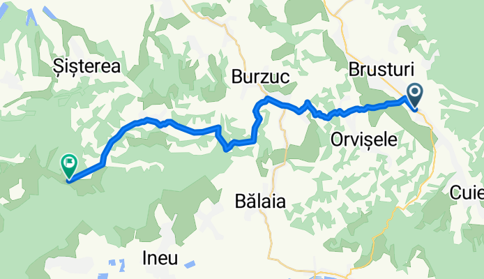 picleu susturoi