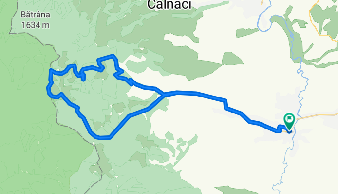 Race &gt; Mtb &gt; Remetea 2009