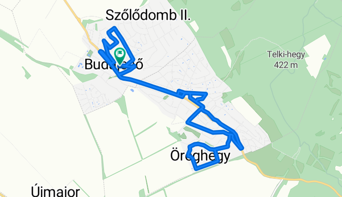 Kutyával