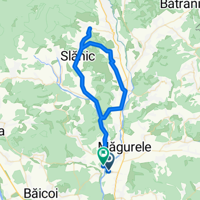 slanic 2