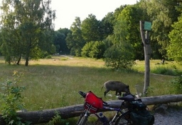 Hebe Bild 2 entlang der Bikemap-Route "Wildsau am Teufelsee" hervor