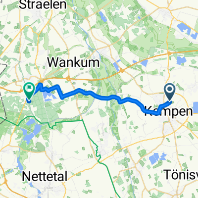 Bachstelze