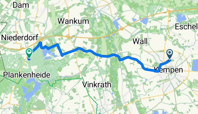 Bachstelze
