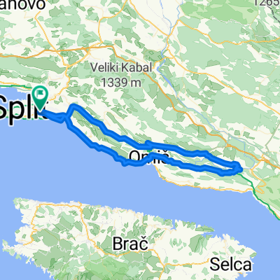 +Na Pavića most