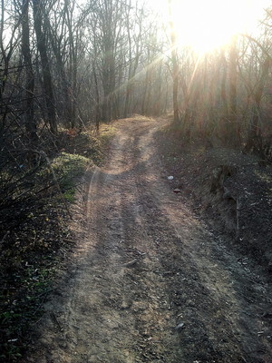 Highlight 1 along the Bikemap route "BACAU-MAGURA VERDE-SARATA-BACAU"