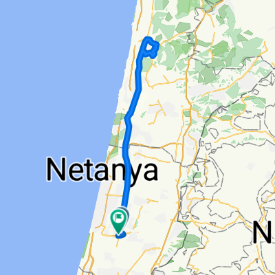 נו דרופ- דרורים - זכרון וחזרה