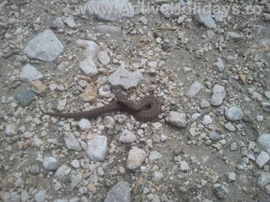 Hebe Bild 1 entlang der Bikemap-Route "treasure Hunt" hervor