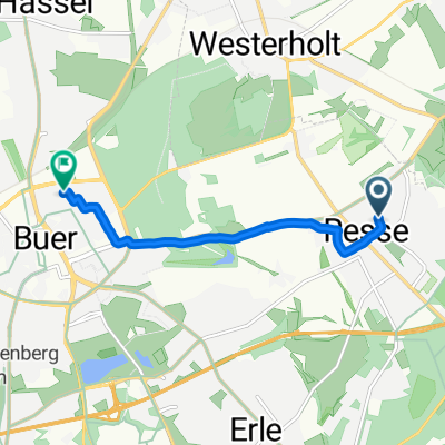 Bier