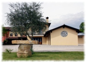 Highlight 2 along the Bikemap route "Pedalata ecologica Manzano"