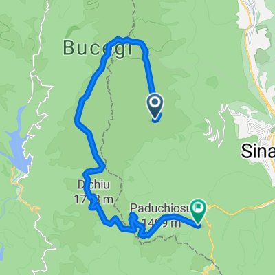 Cota 2000-Piatra Arsa-Saua Dichiu-Cuibu Dorului