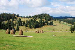 Highlight 3 along the Bikemap route "Circuit scurt de la Garda"