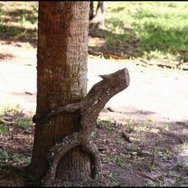 Photo 8 of the Bikemap route "NATUR KUNDE 6 (Ab 18)" Photo 8 of the Bikemap route "NATUR KUNDE 6 (Ab 18)"