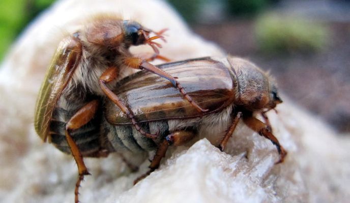 Photo 1 of the Bikemap route "NATUR KUNDE 6 (Ab 18)" Photo 1 of the Bikemap route "NATUR KUNDE 6 (Ab 18)"