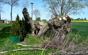 Atrakcja 46 na trasie Bikemap „BALTIKUM. ETAPPE 1”