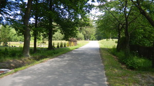 Highlight 16 along the Bikemap route "2014/6  Bór Głogowski - Głogów Młp. - Jańciówka - Tajęcina"