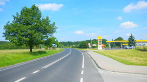 Highlight 11 along the Bikemap route "2014/6  Bór Głogowski - Głogów Młp. - Jańciówka - Tajęcina"