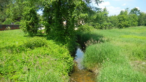 Highlight 28 along the Bikemap route "2014/6  Bór Głogowski - Głogów Młp. - Jańciówka - Tajęcina"