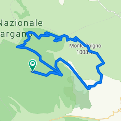 Giro Bosco Quarto