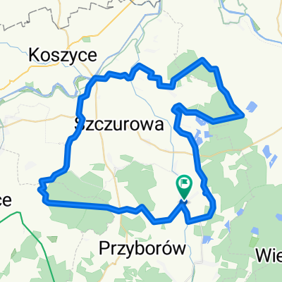 Wokol Borzecina (20) - Bezdroza