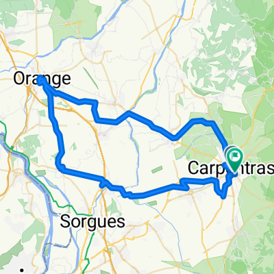 carpentras-oranges-carpentras