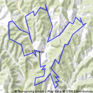 Ruta larga
