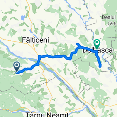 Risca-Probota-Dolhasca