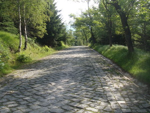 Hebe Bild 27 entlang der Bikemap-Route "Karkonosze, najstromsze podjazdy asfaltowe" hervor