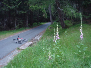 Hebe Bild 4 entlang der Bikemap-Route "Karkonosze, najstromsze podjazdy asfaltowe" hervor