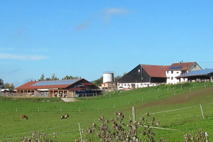 Hebe Bild 5 entlang der Bikemap-Route "Tour 1 – Backhausgeschichten, Pferdeglück und Streuobstwiesen" hervor