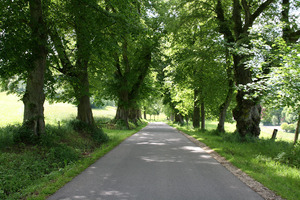 Hebe Bild 9 entlang der Bikemap-Route "Tour 1 – Backhausgeschichten, Pferdeglück und Streuobstwiesen" hervor