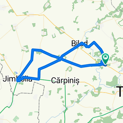 Loop 26 Becicherecu Mic