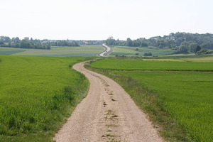 Hebe Bild 1 entlang der Bikemap-Route "Tour 5 | Schafe, Honig und Schwarzwurst" hervor