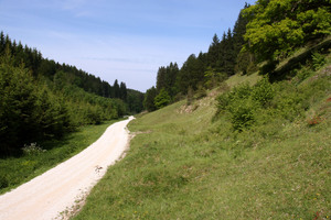 Hebe Bild 9 entlang der Bikemap-Route "Tour 5 | Schafe, Honig und Schwarzwurst" hervor
