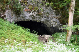 Hebe Bild 8 entlang der Bikemap-Route "Tour 5 | Schafe, Honig und Schwarzwurst" hervor
