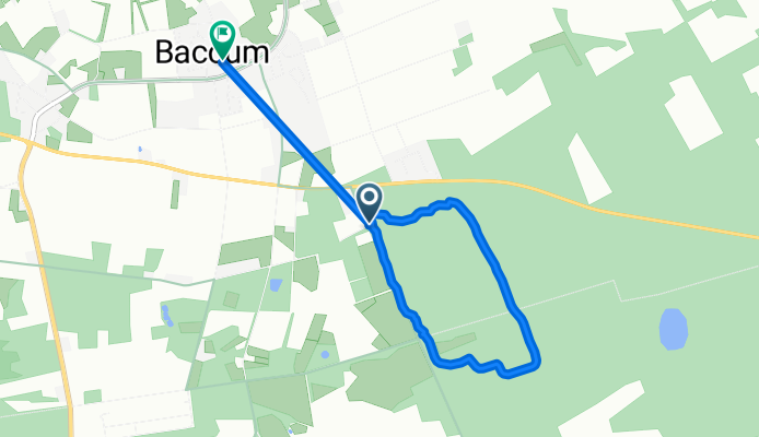 Baccumer Wald